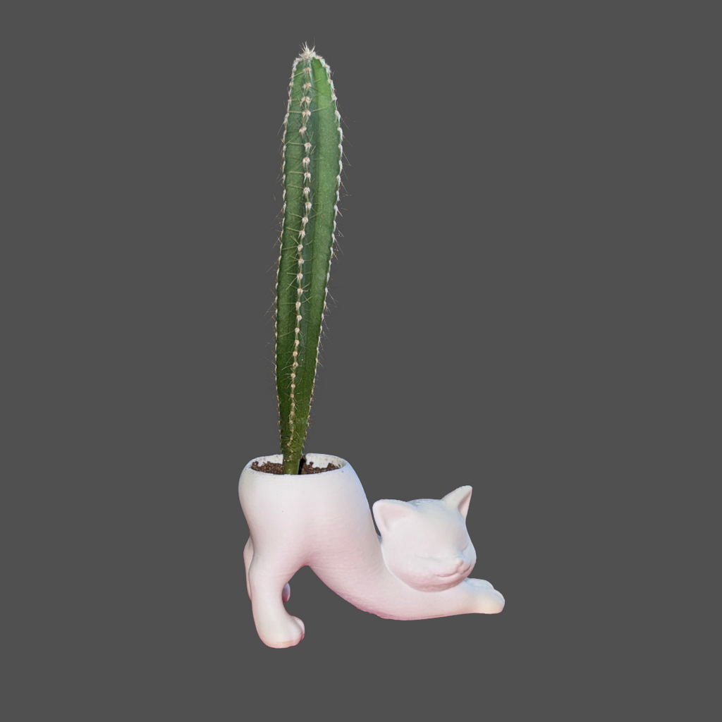 Cat Planter with Cactus Tail | 3D Printed PLA Cat Pot | Cute Succulent Planter | Cat Lover Gift | Funny Desk Plant | Unique Cat Decor
