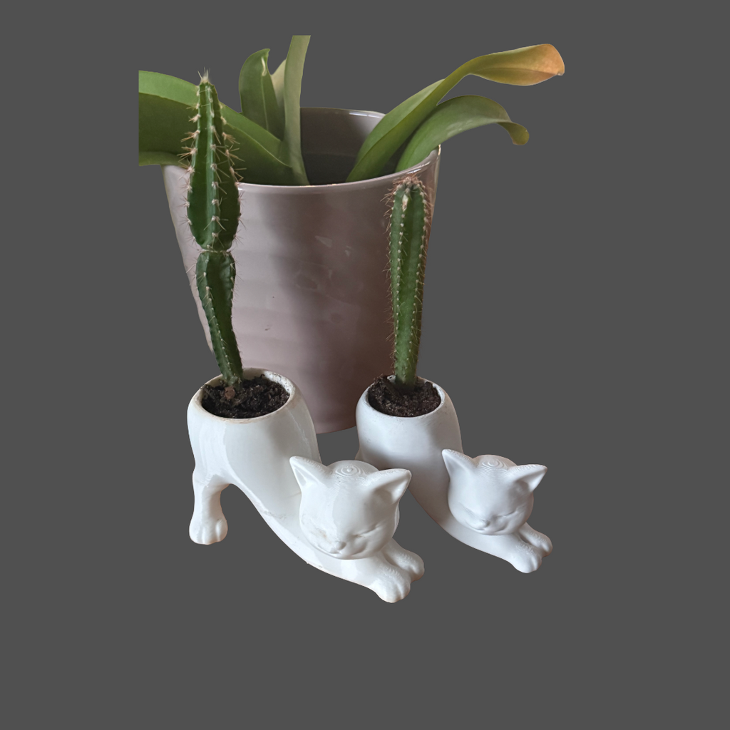 Cat Planter with Cactus Tail | 3D Printed PLA Cat Pot | Cute Succulent Planter | Cat Lover Gift | Funny Desk Plant | Unique Cat Decor
